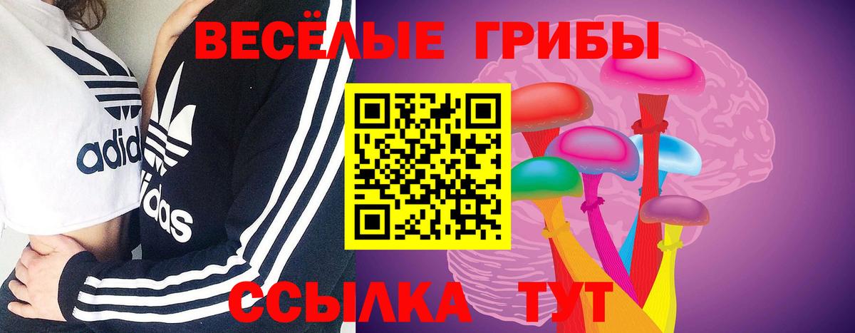 Тихвин  Галлюциногенные грибы Cubensis  Вход с VPN 